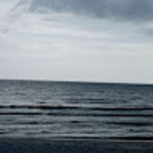 Meet your Posher, Martha